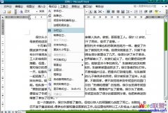 ��Word2003�ĵ�����ô����